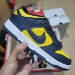 Nike Inspired Nike Dunk SB 2 – 4coors