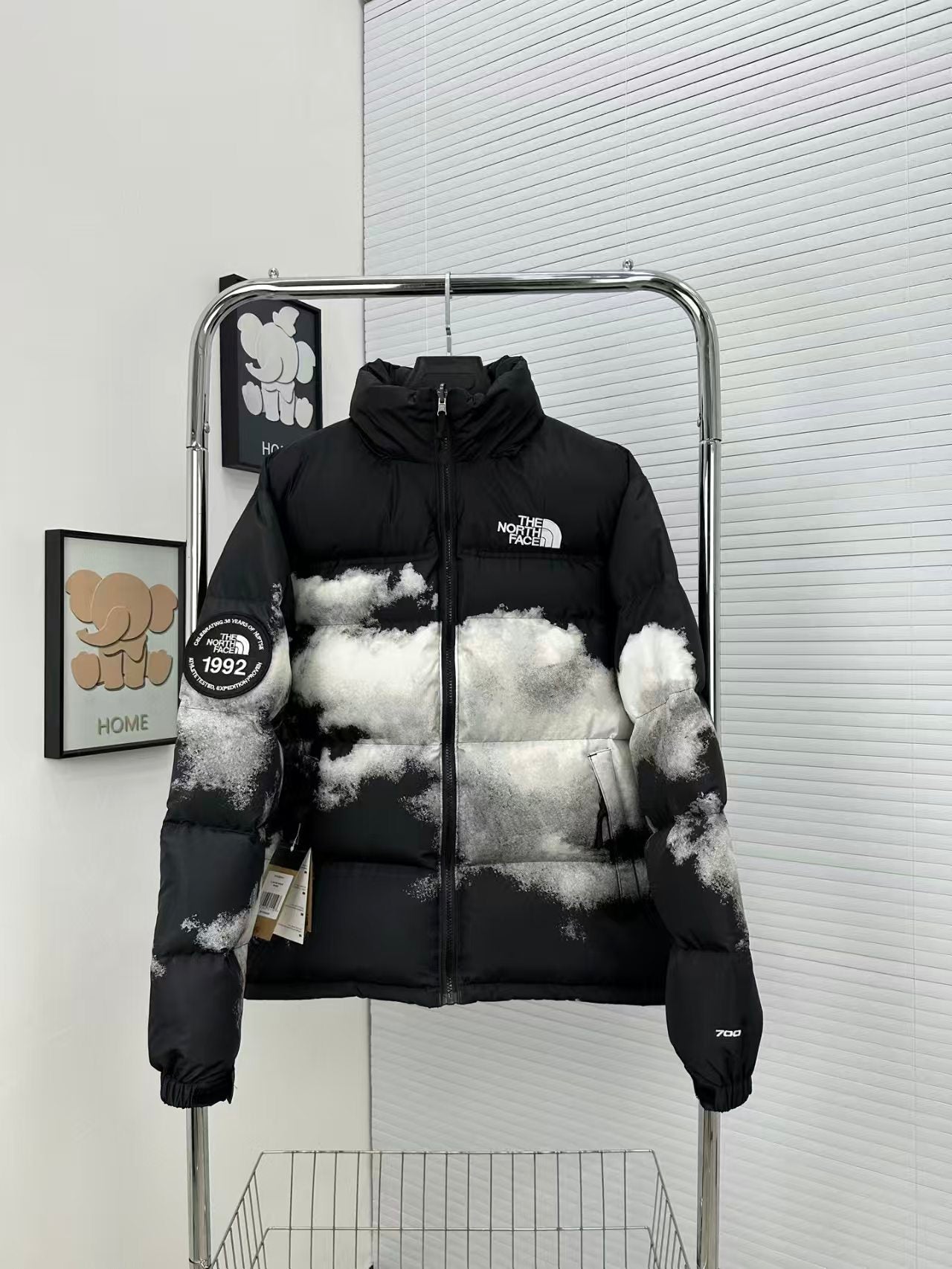 THE NORTH FACE Inspired Down Jackets